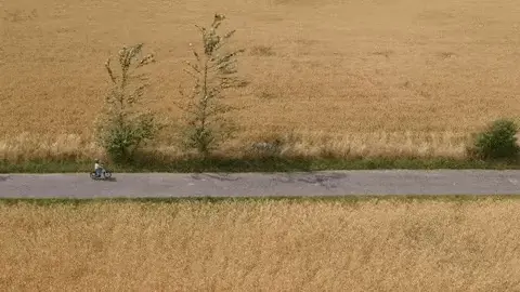 Adobe After effects - Sensei - efter