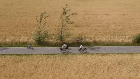 Adobe After effects - Sensei - før